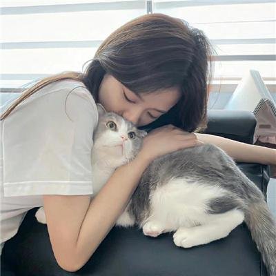 领头羊