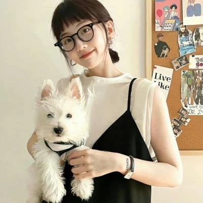 玩具总动员